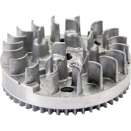Flywheel BRIGGS ET STRATTON 590421