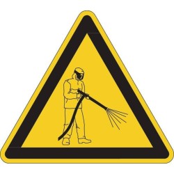 Decal BRADY WB803914