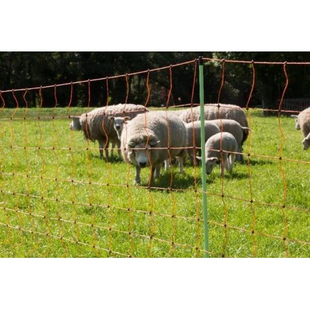 Filet pour enclos de moutons et chèvres GALLAGHER 022175GAL