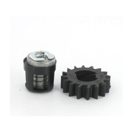 Kit Pignon 495877 - 696539 - 490467 BRIGGS et STRATTON