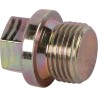 Screw plug SDF 01133631