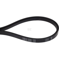 Correa PUBERT 0306030036PUB