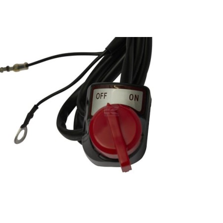 Switch PUBERT 0330062001