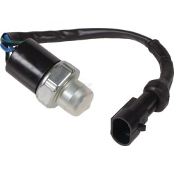 Interruptor SDF 04423185