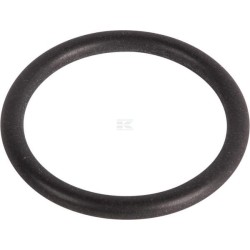 O-ring ZF 0634303848