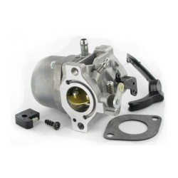 Carburettor 794653 BRIGGS et STRATTON Nikki