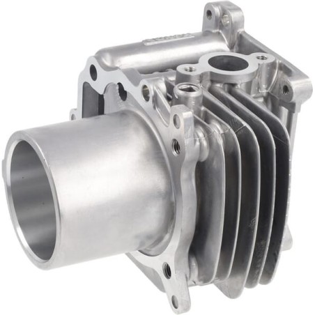 Cilindro completo HONDA 12100Z9L405