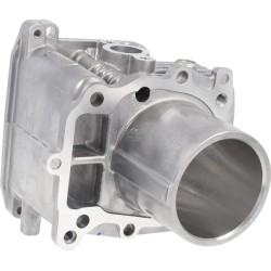 Completo cilindro HONDA 12100Z9L405
