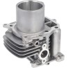 Cilindro completo HONDA 12100Z9L405