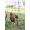 Poultry E-net 122cm 50m SP green AKO 292412