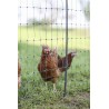 Poultry E-net 122cm 50m SP green AKO 292412