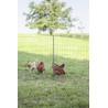 Poultry E-net 122cm 50m SP green AKO 292412