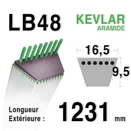 Courroie 16.5mm x 1231mm - LB48