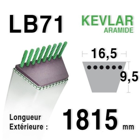 Courroie 16.5mm x 1815mm - LB71