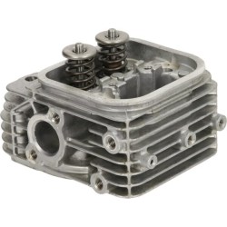 Testata BRIGGS & STRATTON 84002010