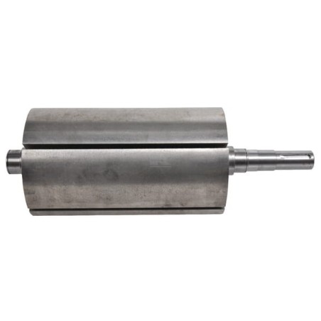 Rotor BATTIONI PAGANI CM5P