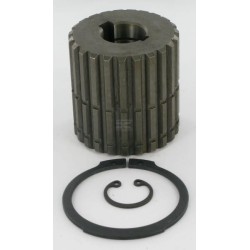 Accouplement BORELLI MO231905