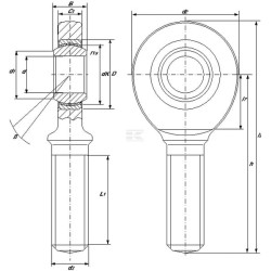 Embout de bielle SKF SAKB20F