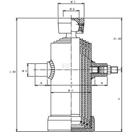 Verin DI NATALE-BERTELLI TC4023