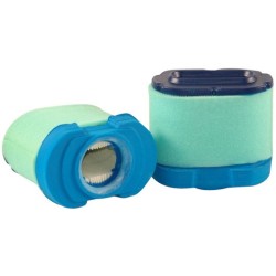 Luftfilter BRIGGS et STRATTON 792105