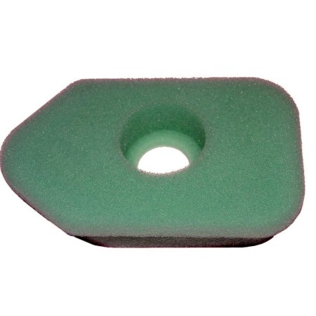 Filter Air BRIGGS et STRATTON 272235