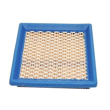 Luftfilter Air BRIGGS et STRATTON 399877