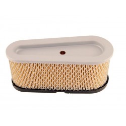 Filter Air BRIGGS et STRATTON 496894 - 493909 - 496894S