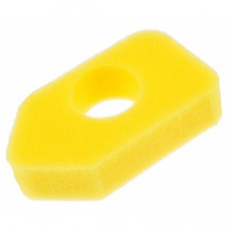 Filtro Air BRIGGS et STRATTON 698369