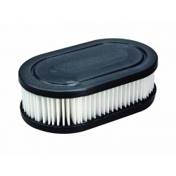 Filter Air BRIGGS et STRATTON 798452