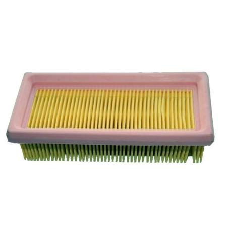 Filtro Air LOMBARDINI 2175-097