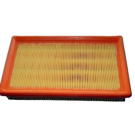 Filtro Air LOMBARDINI 2175-164 - 2175-105 - 2175-132