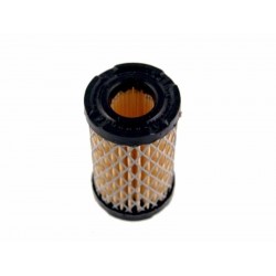 Filtre à Air TECUMSEH 35066 - 23410051