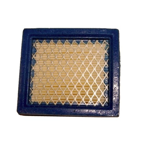 Filter Air TECUMSEH 36046