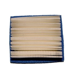 Filter Air TECUMSEH 36046