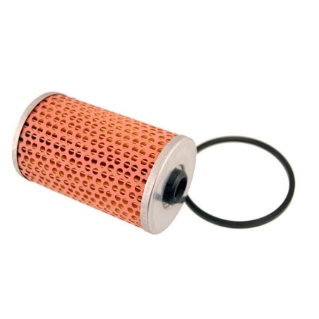 Filtro Carburant LOMBARDINI 2175-014