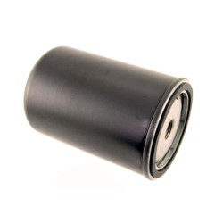 Filter fuel Ruggerini 175-19