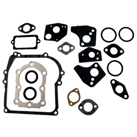 Dichtungssatz motor BRIGGS et STRATTON 297275 - 397144 -