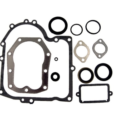 Guarnizioni motore BRIGGS et STRATTON 490525 - 494241