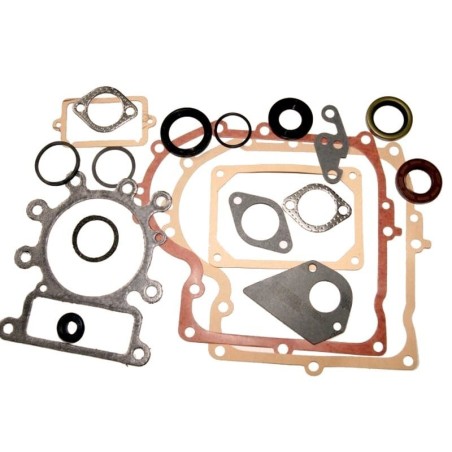 Kit motor BRIGGS et STRATTON 495993