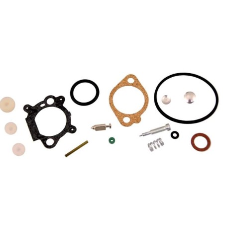 Kit repair BRIGGS et STRATTON 493762 - 498260