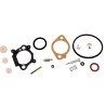 Kit reparación BRIGGS et STRATTON 493762 - 498260