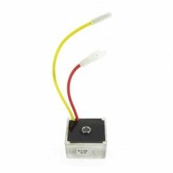 Régulateur de Tension 794360 - 691188 - 491546 BRIGGS et STRATTON
