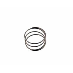 Ressort de Membrane BRIGGS et STRATTON 691801 - 261395