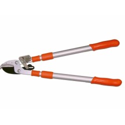 Trimmer branche telescopic rack